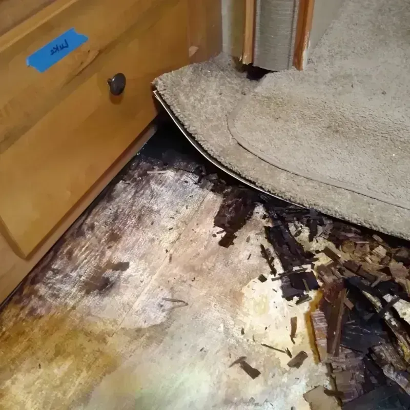 Wood Floor Water Damage in Redington Beach, FL